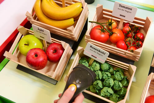 Ausstellungsmodul Obst- und Gemüseanbau 